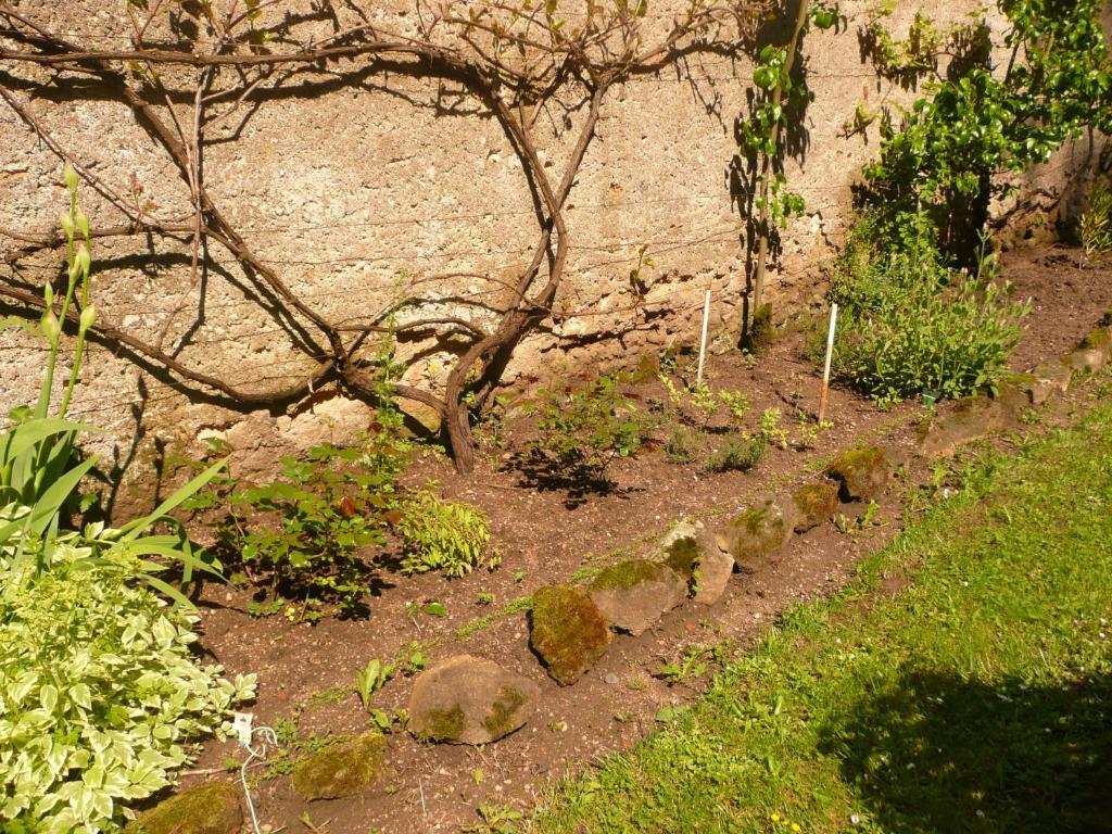Chambres D'Hotes Et Roulotte Au Bonheur Du Parc Le Breuil  Zimmer foto
